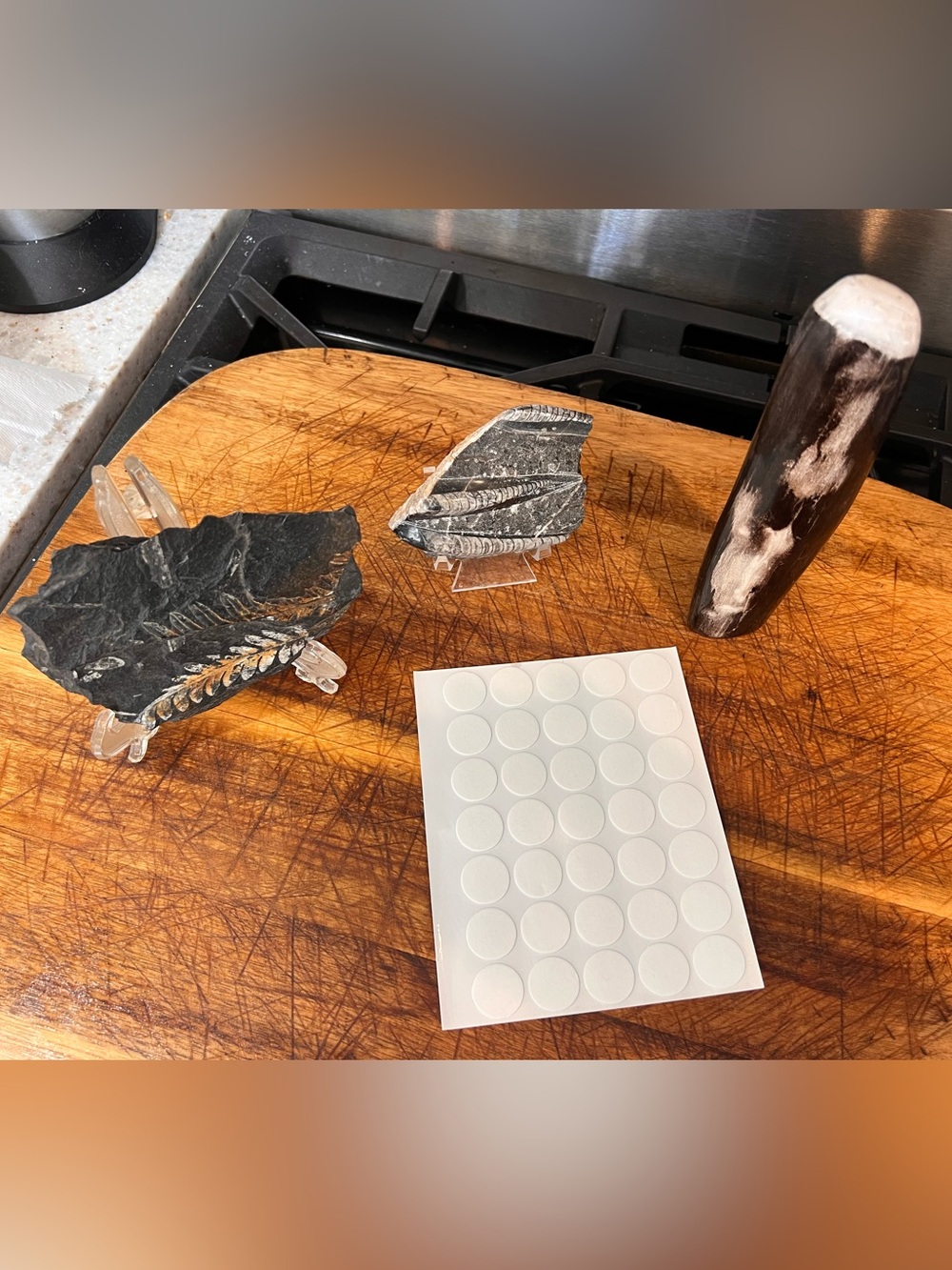 🌟 Vintage 3-Piece Fossil & Petrified Wood Display Lot 🪵